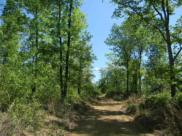 0 Ogden Road, Waverly, TN 37185