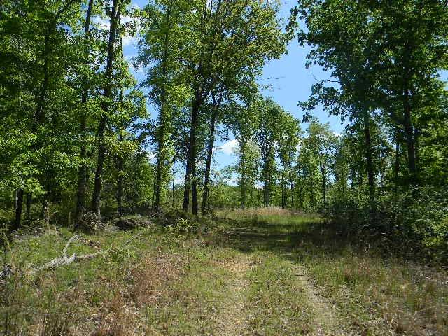 0 Ogden Road, Waverly, TN 37185