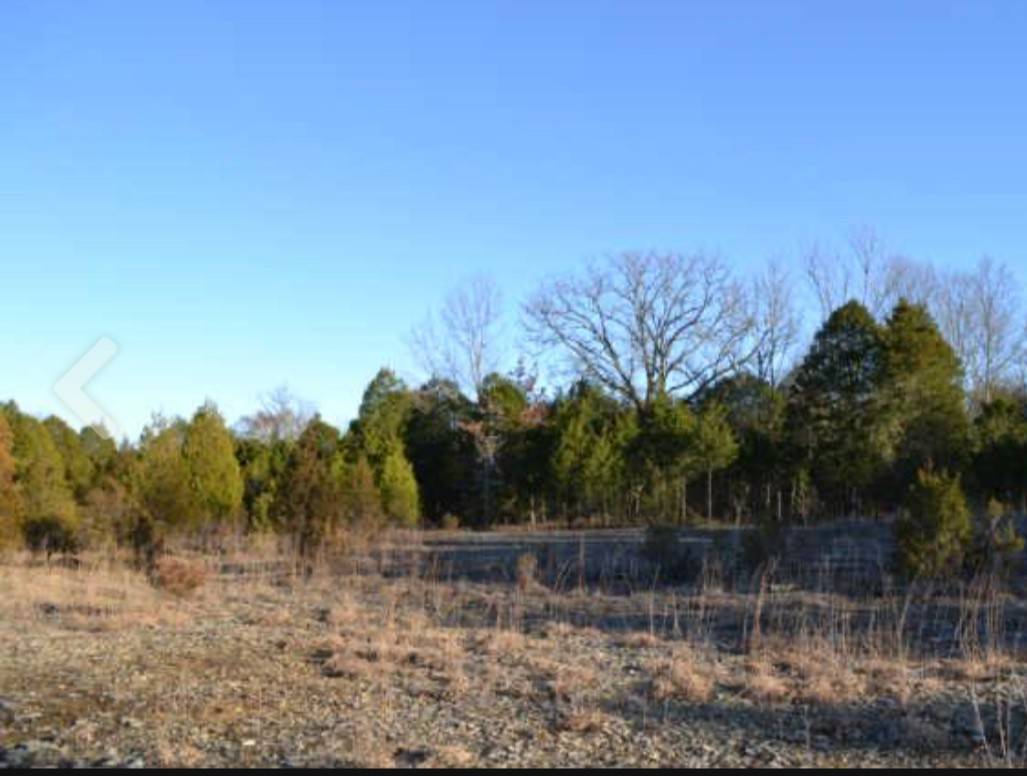 0 Vaughn Rd, Murfreesboro, TN 37129