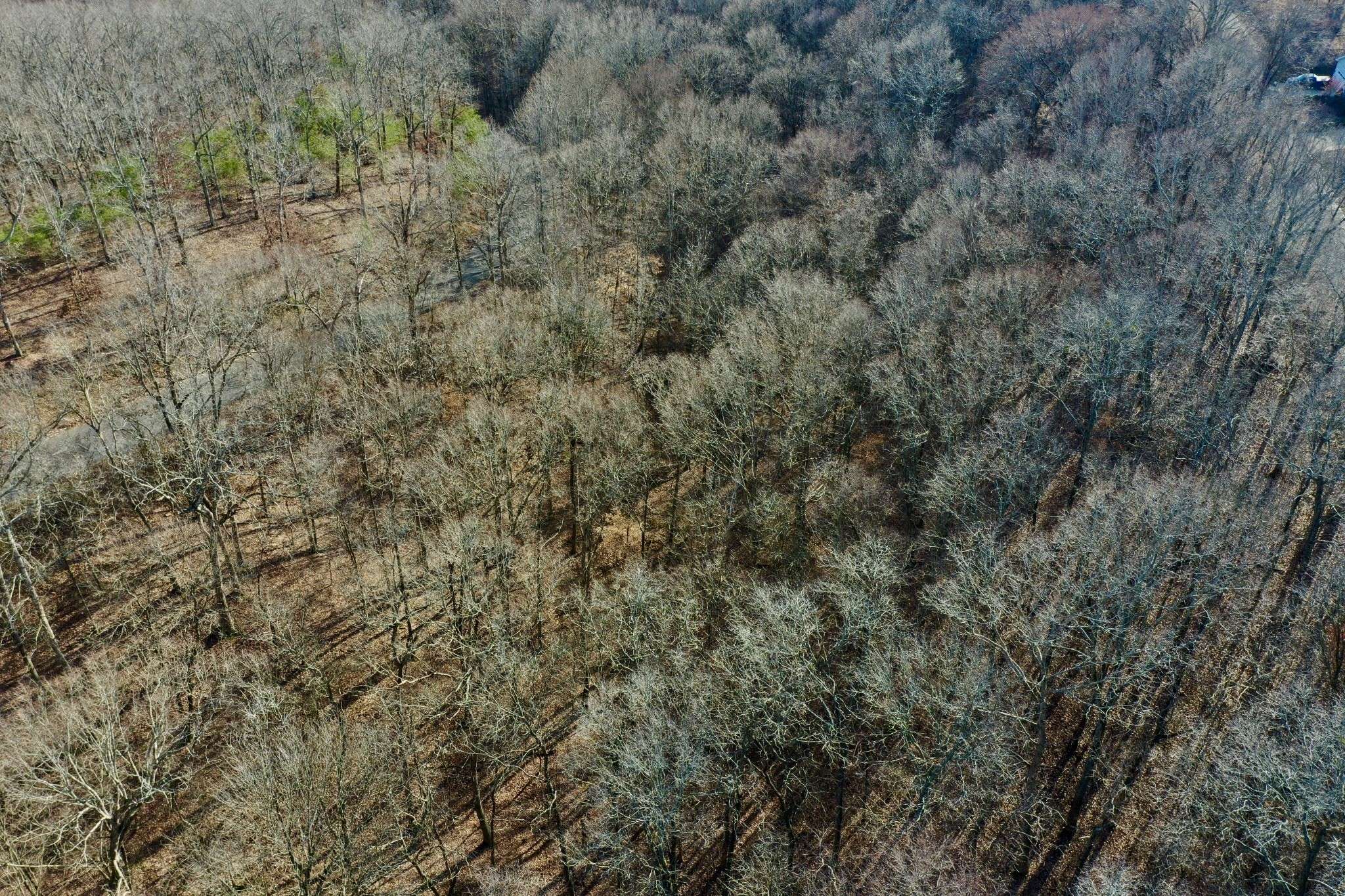 0 Forrest Crossing, Waverly, TN 37185
