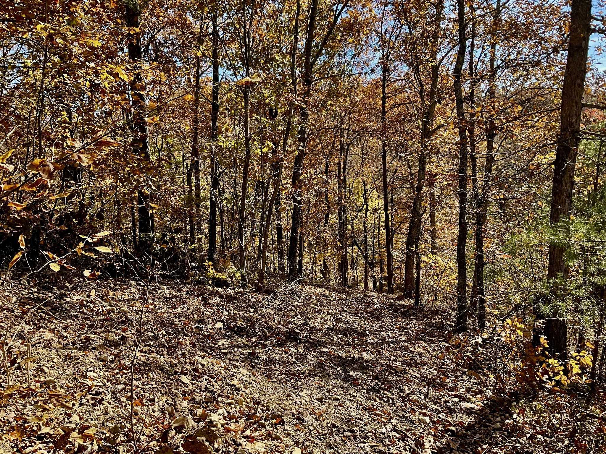 0 Forrest Crossing, Waverly, TN 37185
