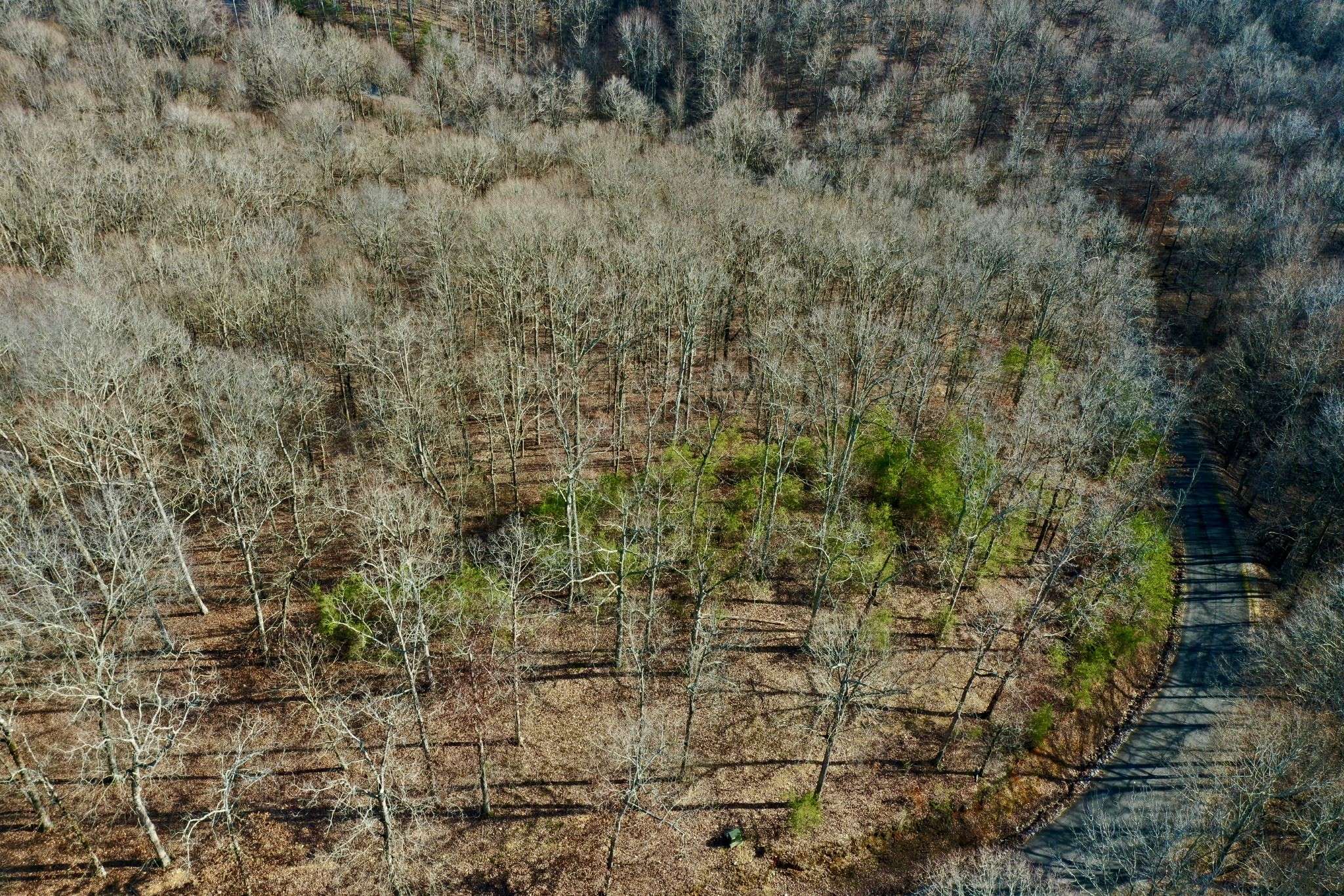 0 Forrest Crossing, Waverly, TN 37185