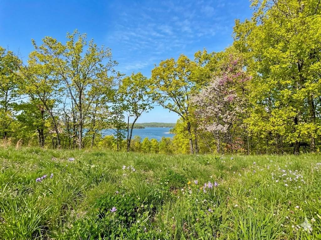100 Sunset Ridge, Waverly, TN 37185