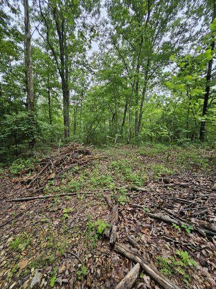 0 Dixie Ct, Holladay, TN 38341