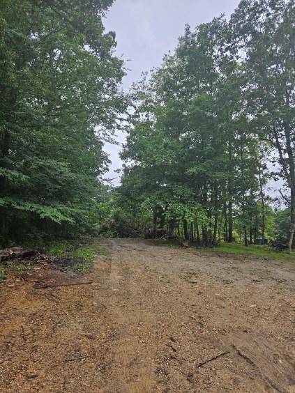 0 Dixie Ct, Holladay, TN 38341
