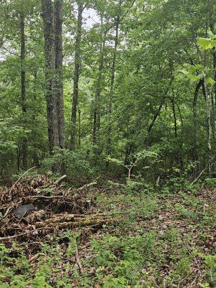 0 Dixie Ct, Holladay, TN 38341