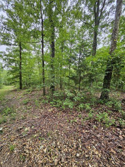 0 Dixie Ct, Holladay, TN 38341