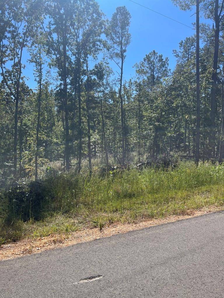 0 Beach Bluff Ln, Huntingdon, TN 38344