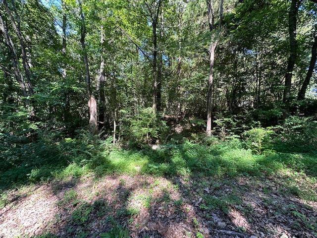 0 Cummins Rd, Eva, TN 38333