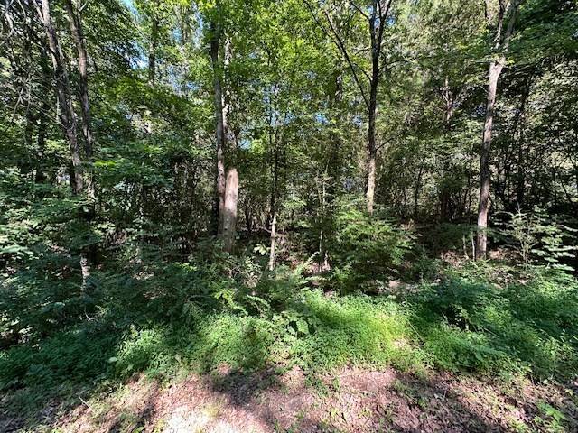 0 Cummins Rd, Eva, TN 38333