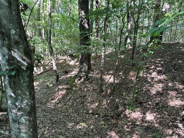 0 Cummins Rd, Eva, TN 38333