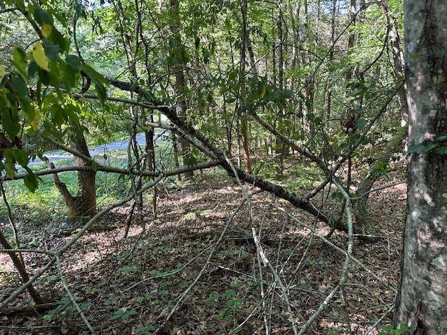 0 Cummins Rd, Eva, TN 38333
