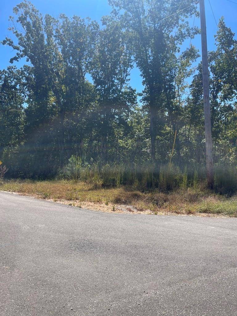 0 Beach Bluff Ln, Huntingdon, TN 38344