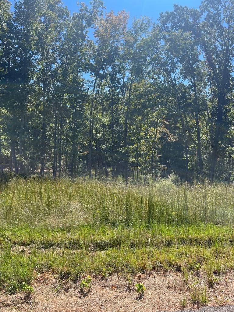 0 Lakepoint Dr, Huntingdon, TN 38344