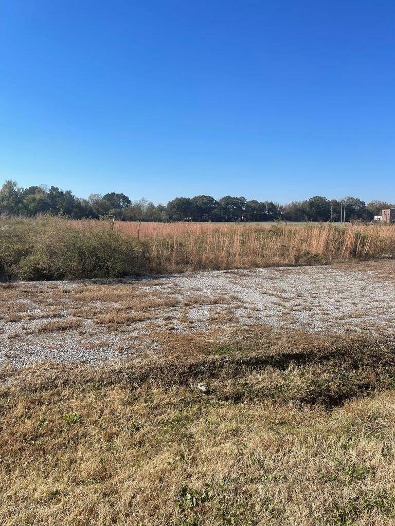 0 Stonehaven Dr, Bells, TN 38006