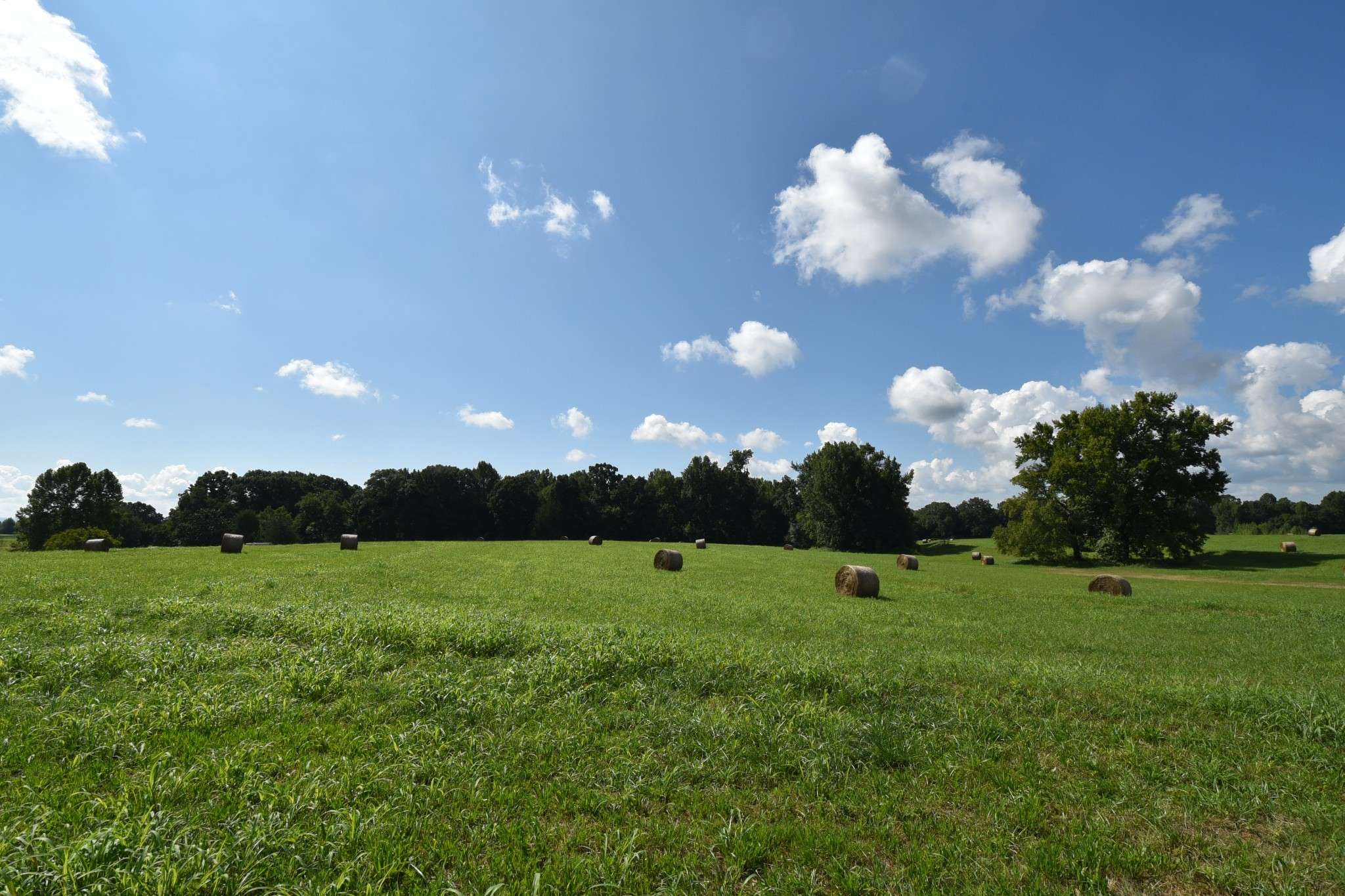0 Old Quick Rd, Fayetteville, TN 37334