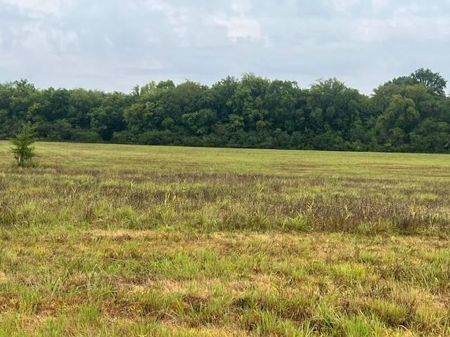 0 Pyles Rd, Chapel Hill, TN 37034