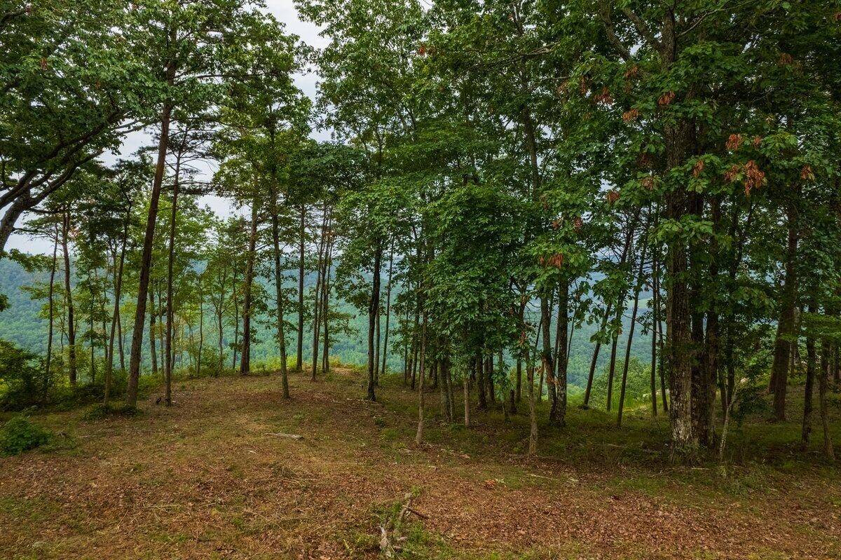 0 Crockett Point, Jasper, TN 37347