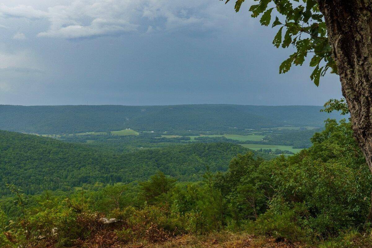 0 Crockett Point, Jasper, TN 37347