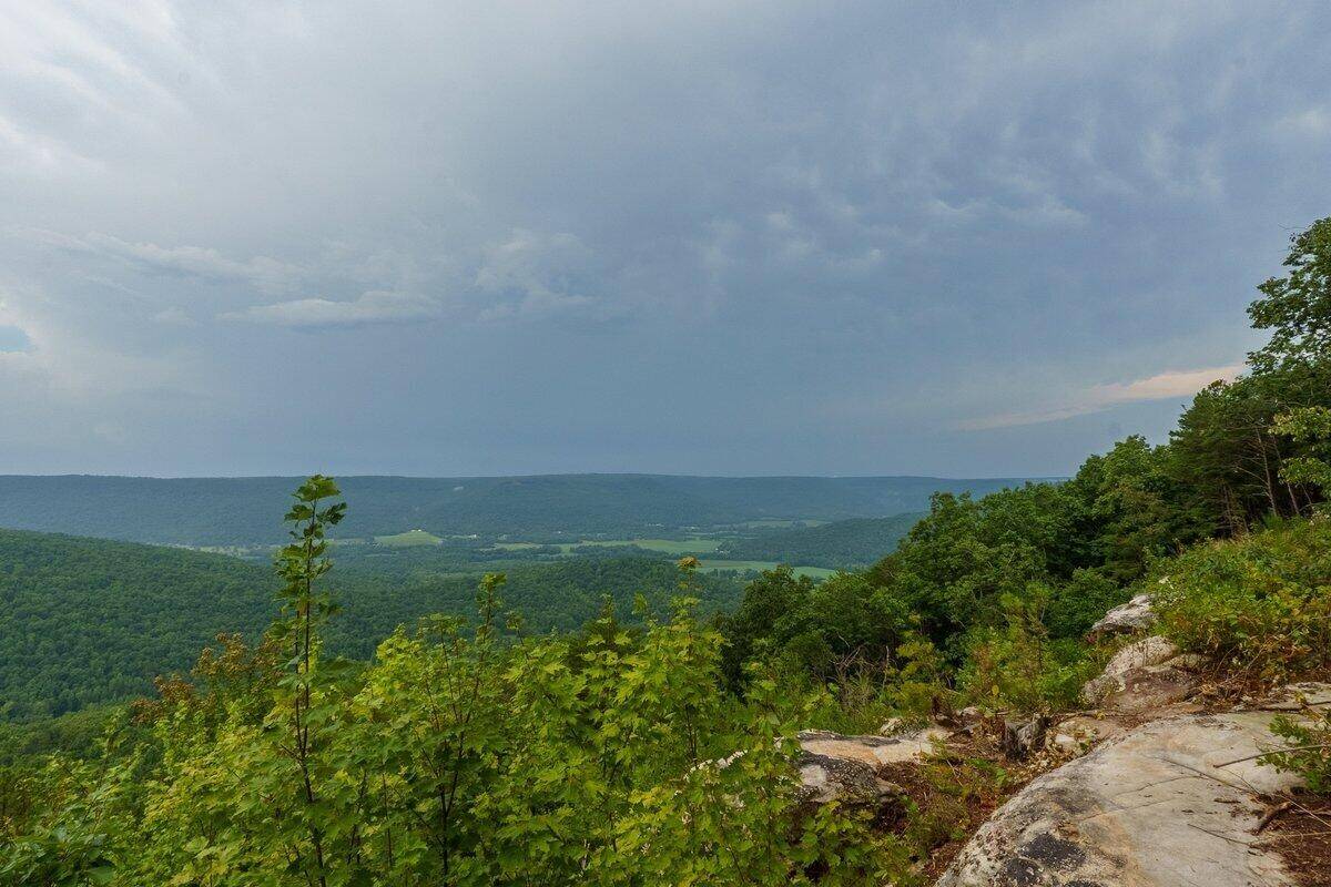 0 Crockett Point, Jasper, TN 37347