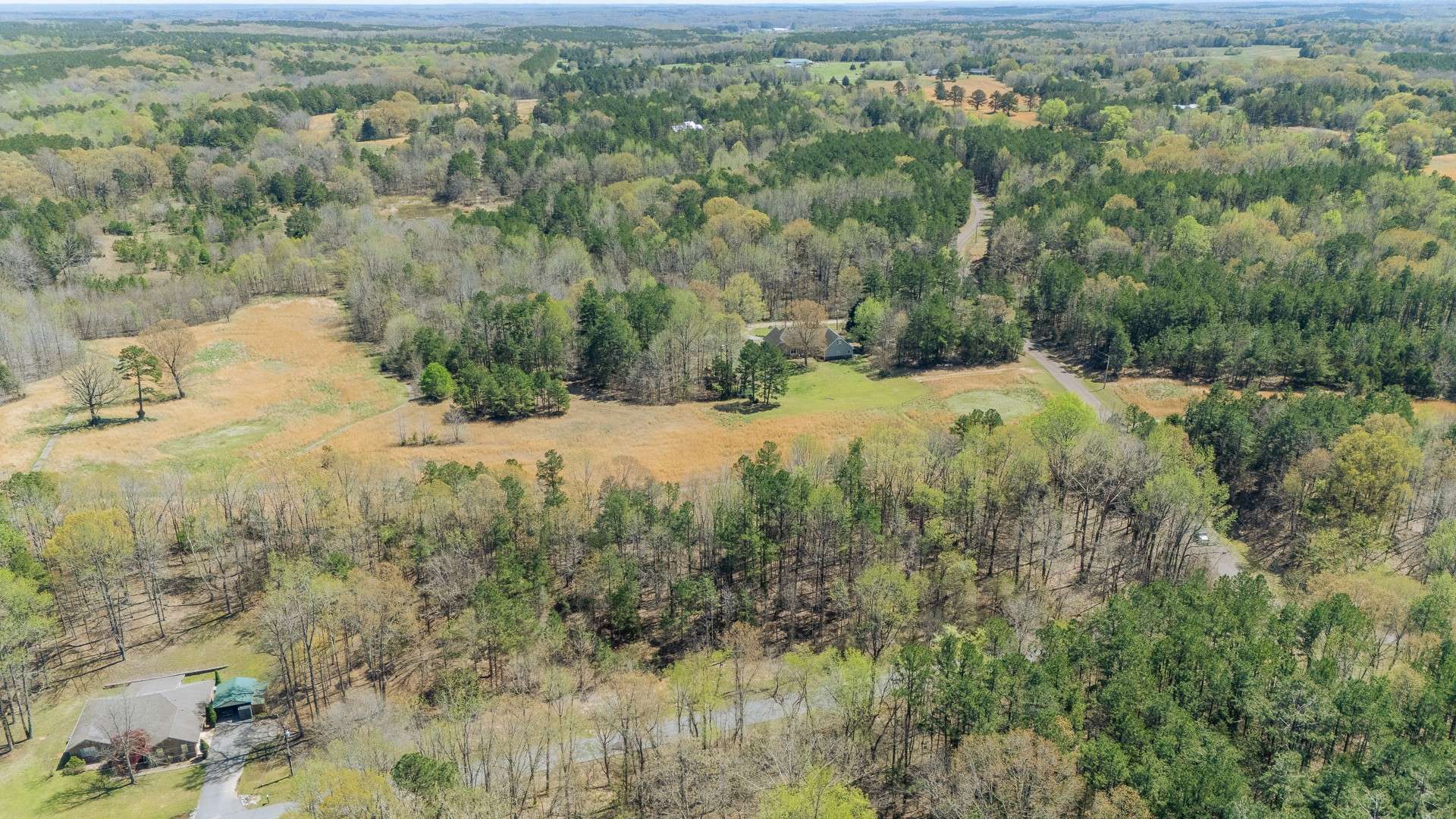 1102 Driver Ln, Saulsbury, TN 38067