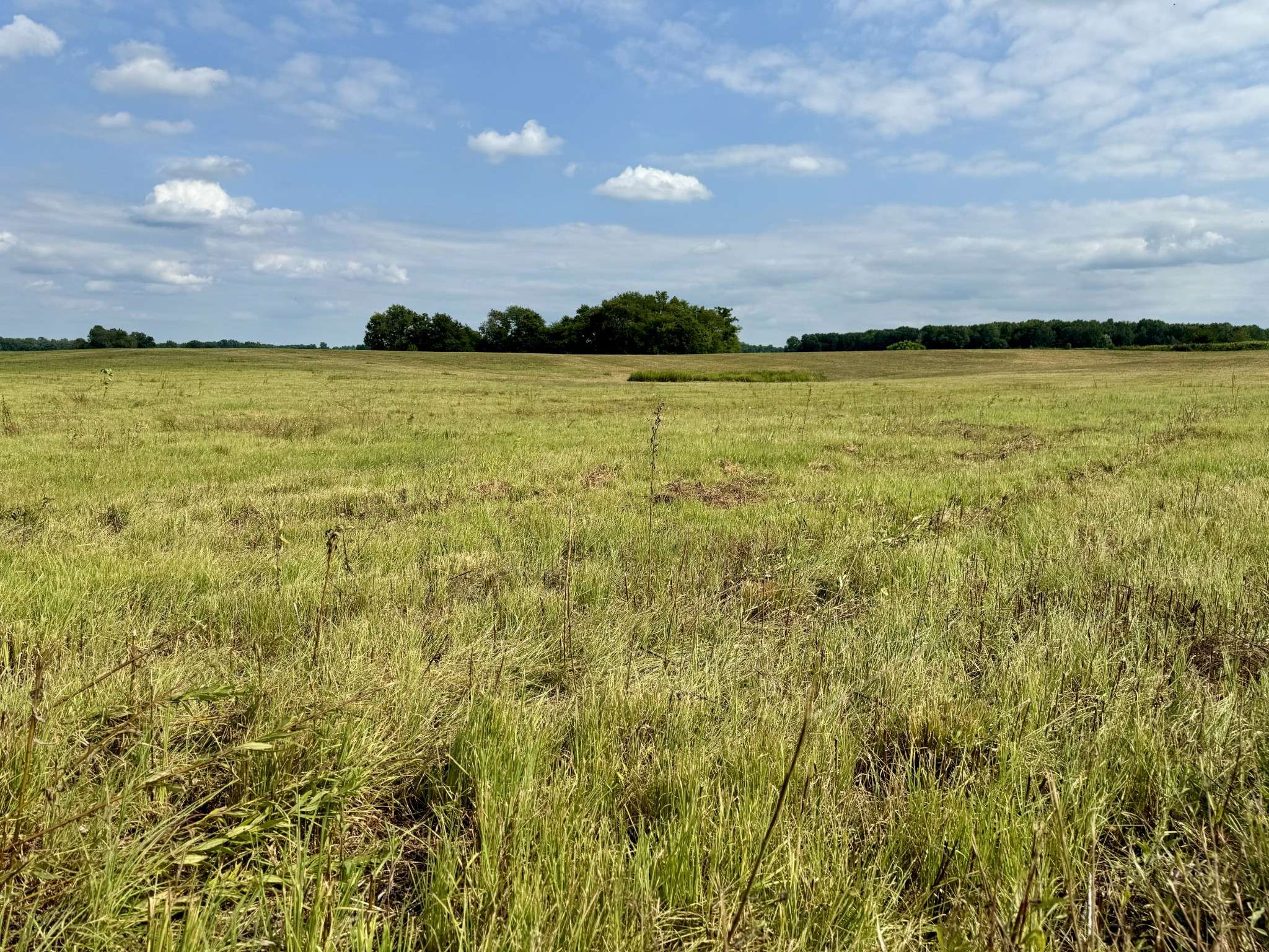 2058 Hwy 259, Portland, TN 37148