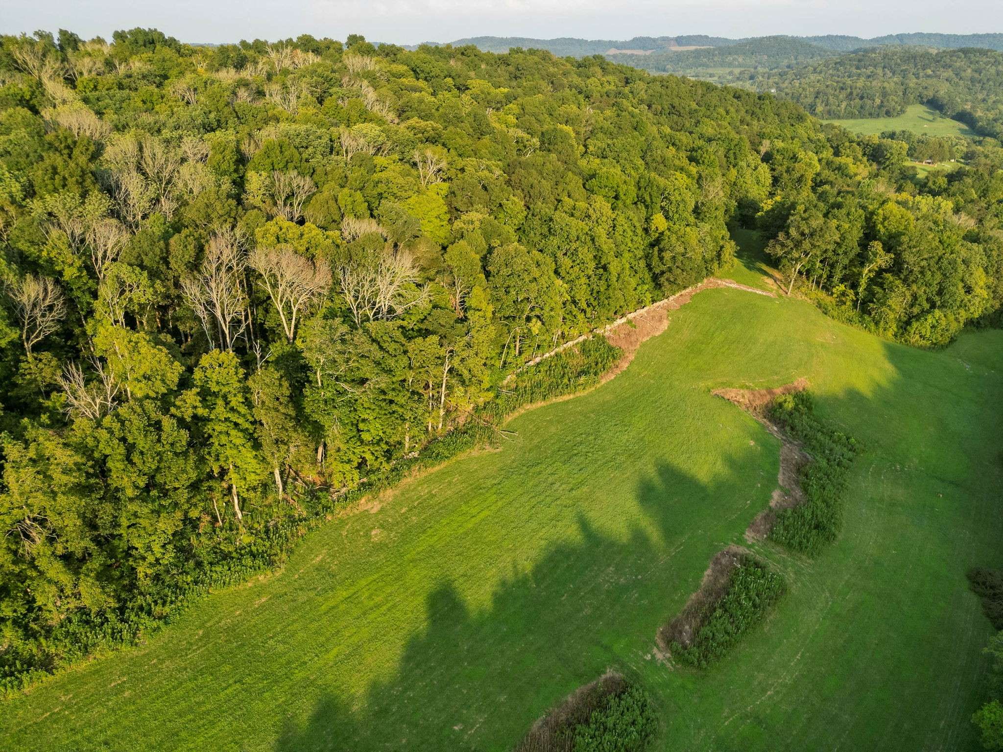 0 John Donald Lane, Brush Creek, TN 38547