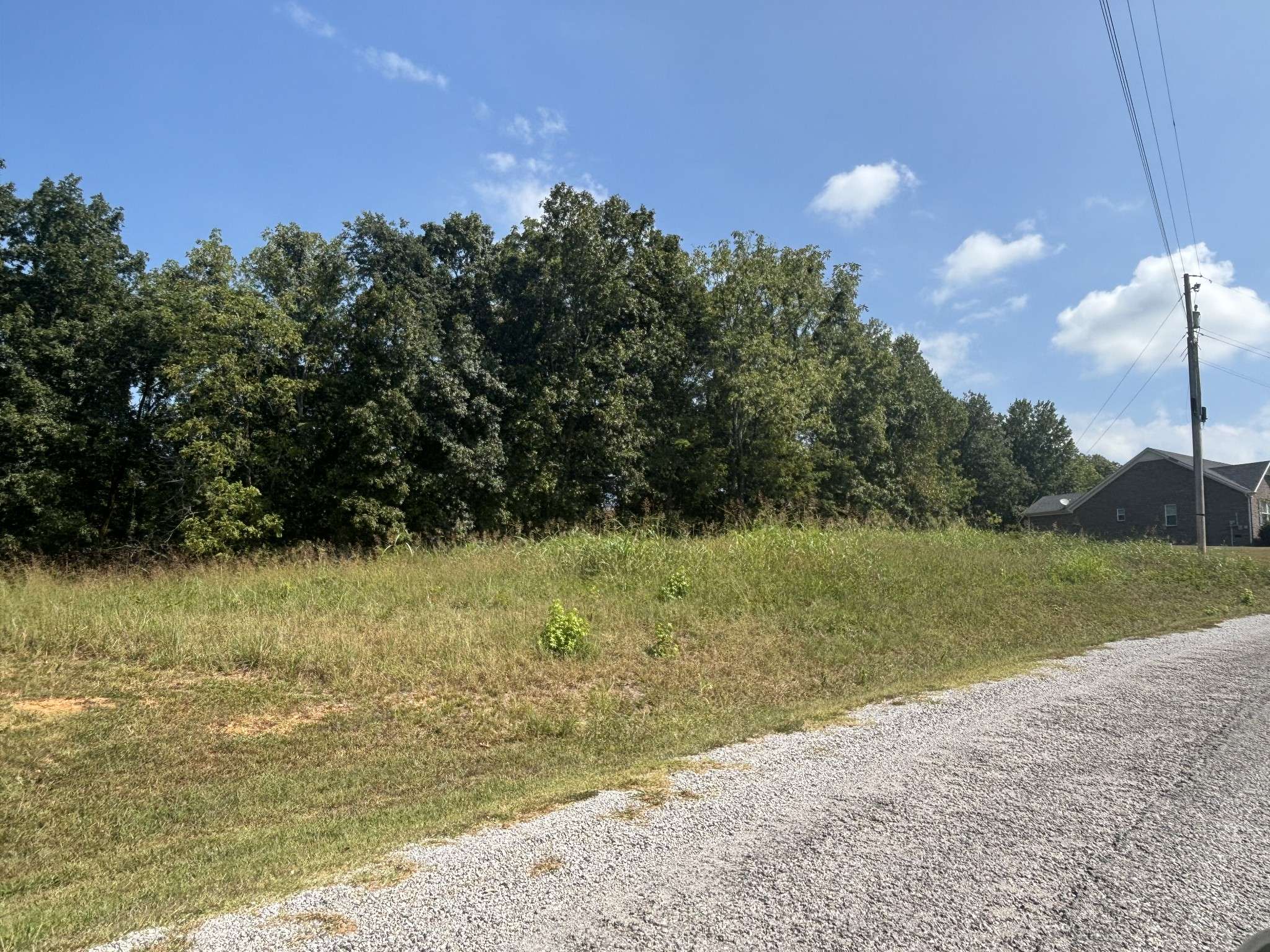 5 rambling ridge, Pulaski, TN 38478
