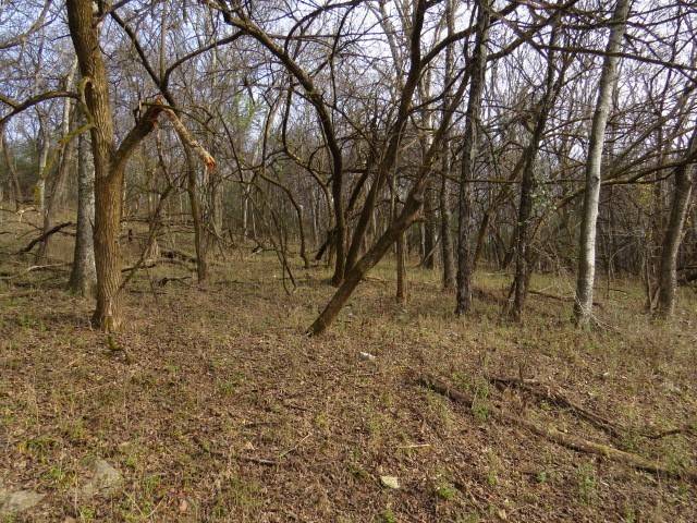 958 dollar hollow road, Pulaski, TN 38478