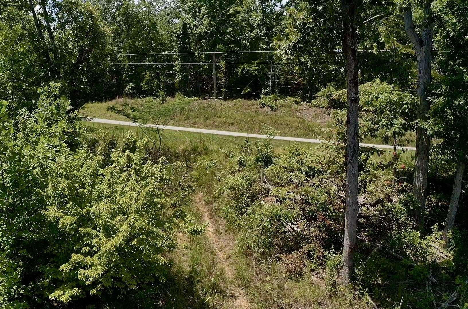 0 Mouse Tail Rd, Parsons, TN 38363