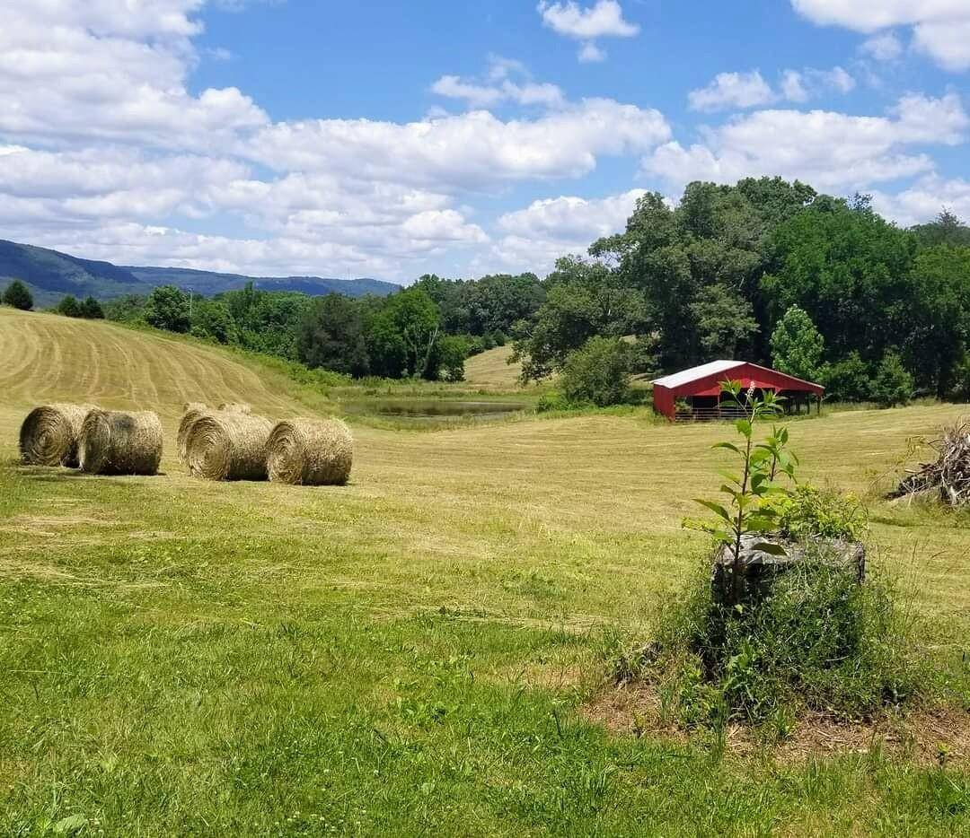 0 John Burch Road, Dunlap, TN 37327