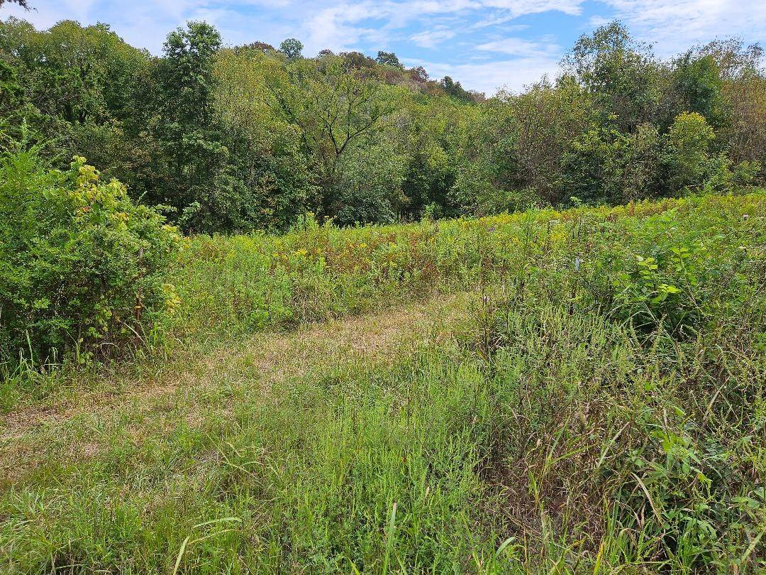 0 Highway 96, Buffalo Valley, TN 38548