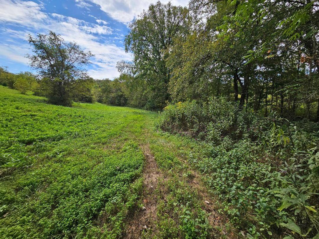 0 Highway 96, Buffalo Valley, TN 38548