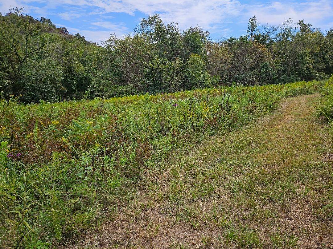 0 Highway 96, Buffalo Valley, TN 38548