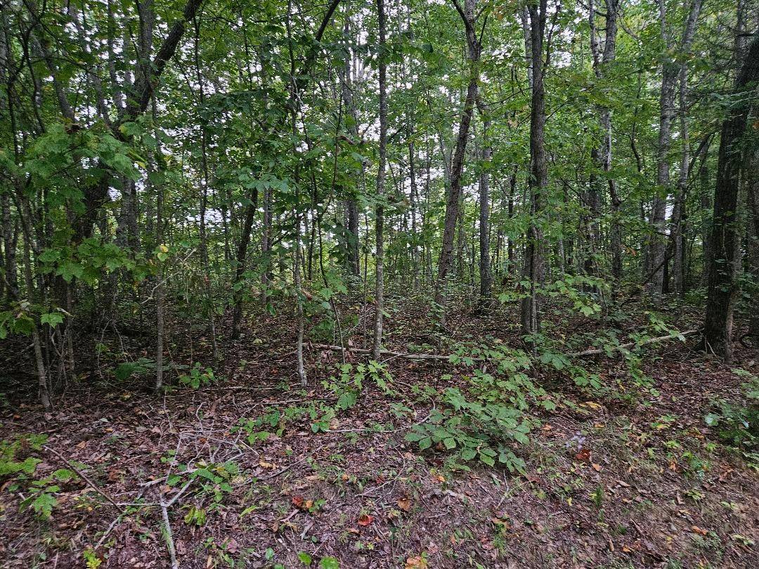 0 Sells Cemetery Road, Wilder, TN 38589