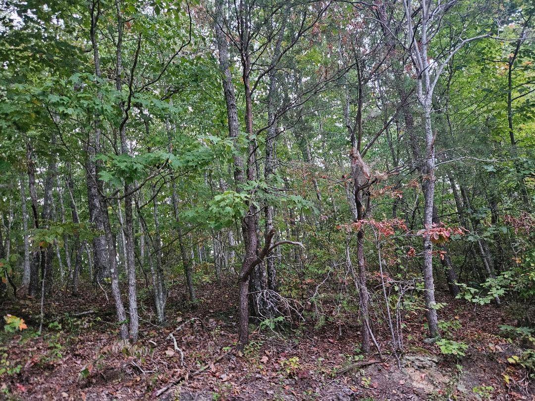 0 Sells Cemetery Road, Wilder, TN 38589