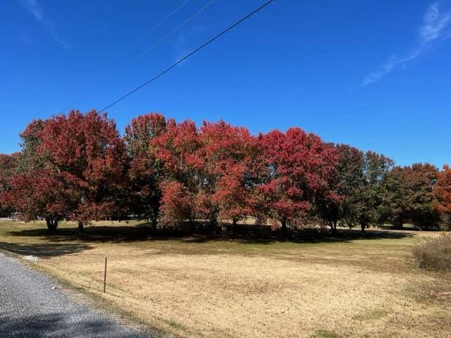 9733 Snow Hill Road, Ooltewah, TN 37363