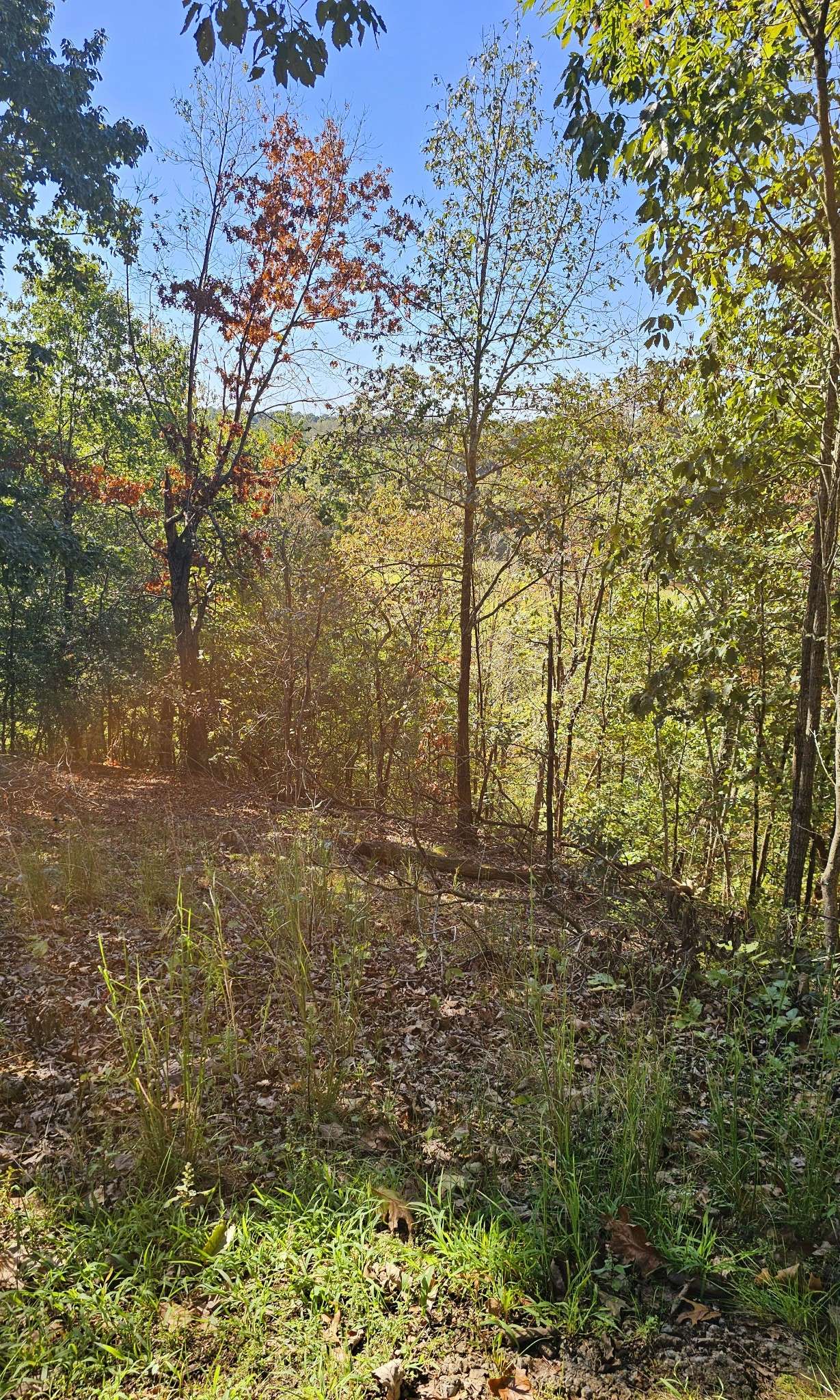 0 Big Richland Drive, Waverly, TN 37185