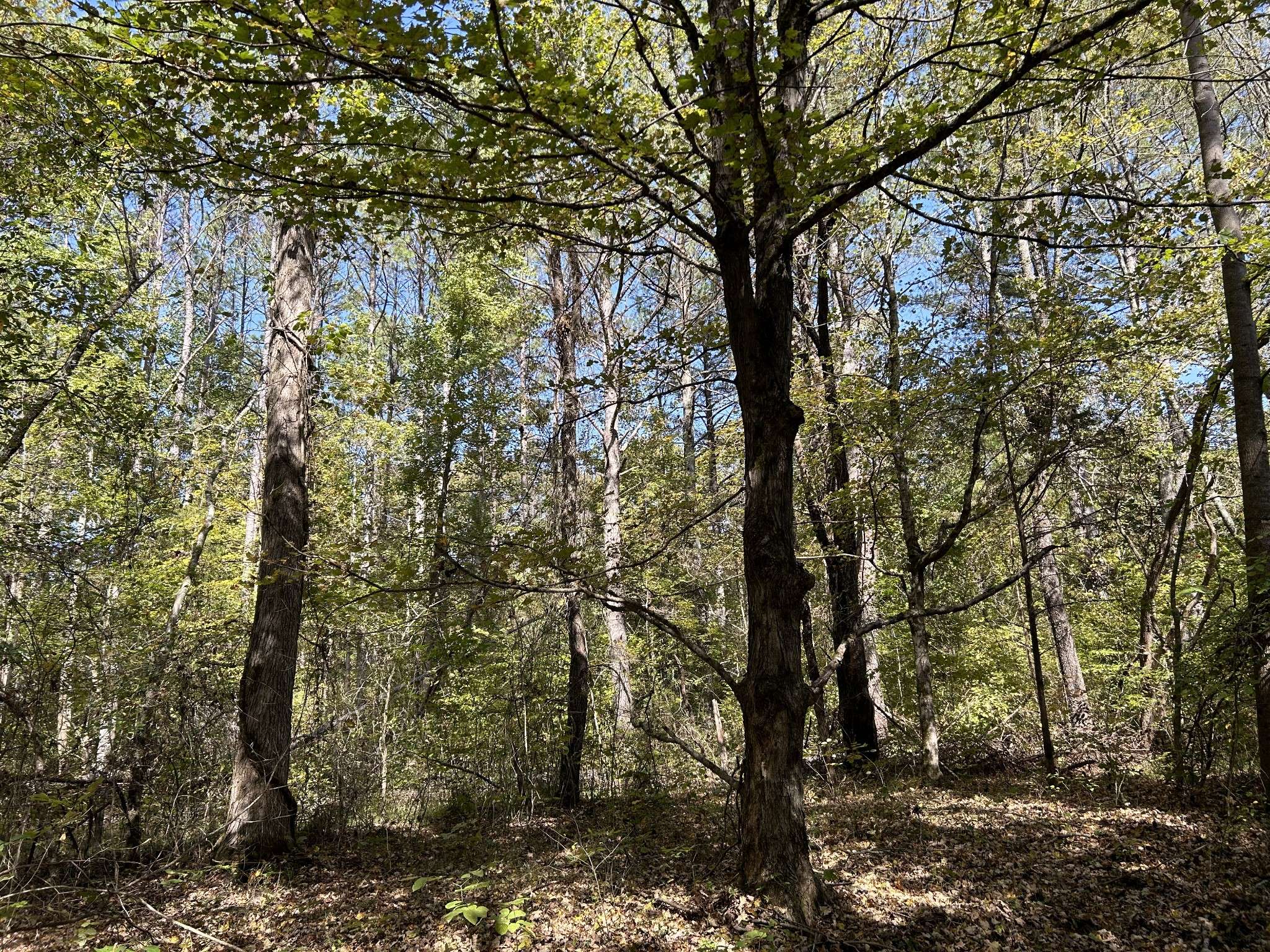 0 Camp Rd, Hohenwald, TN 38462