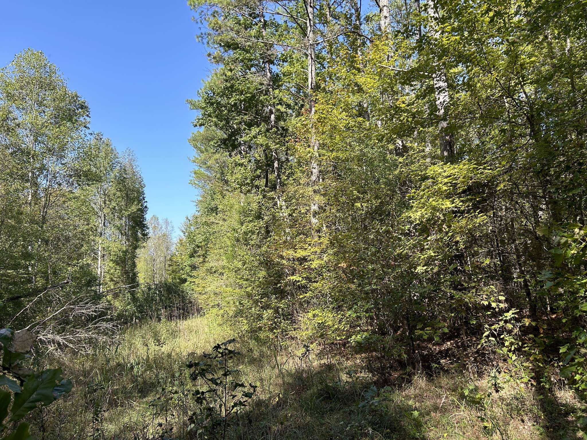 0 Camp Rd, Hohenwald, TN 38462