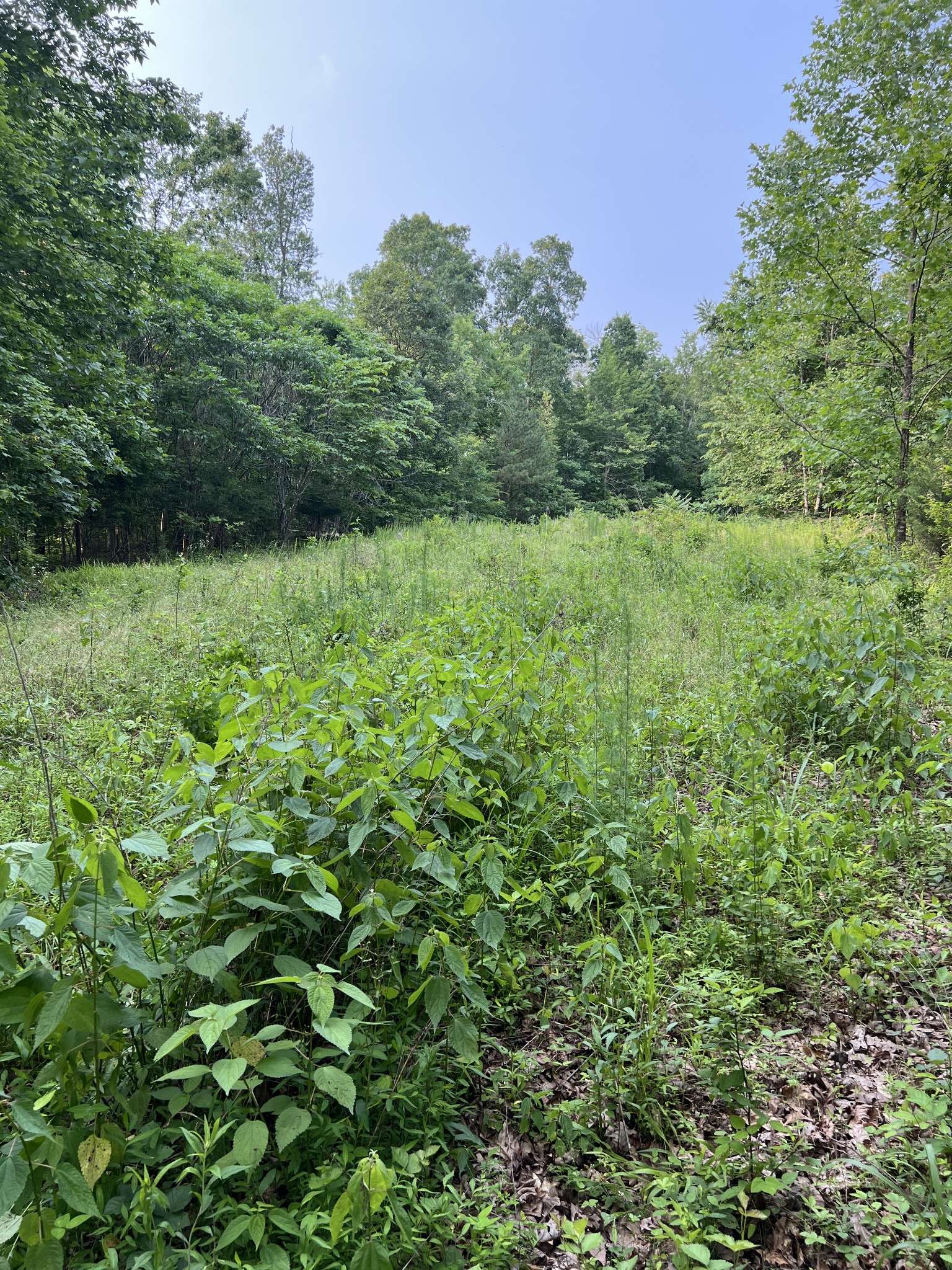1 Cane Creek Road, Hohenwald, TN 38462