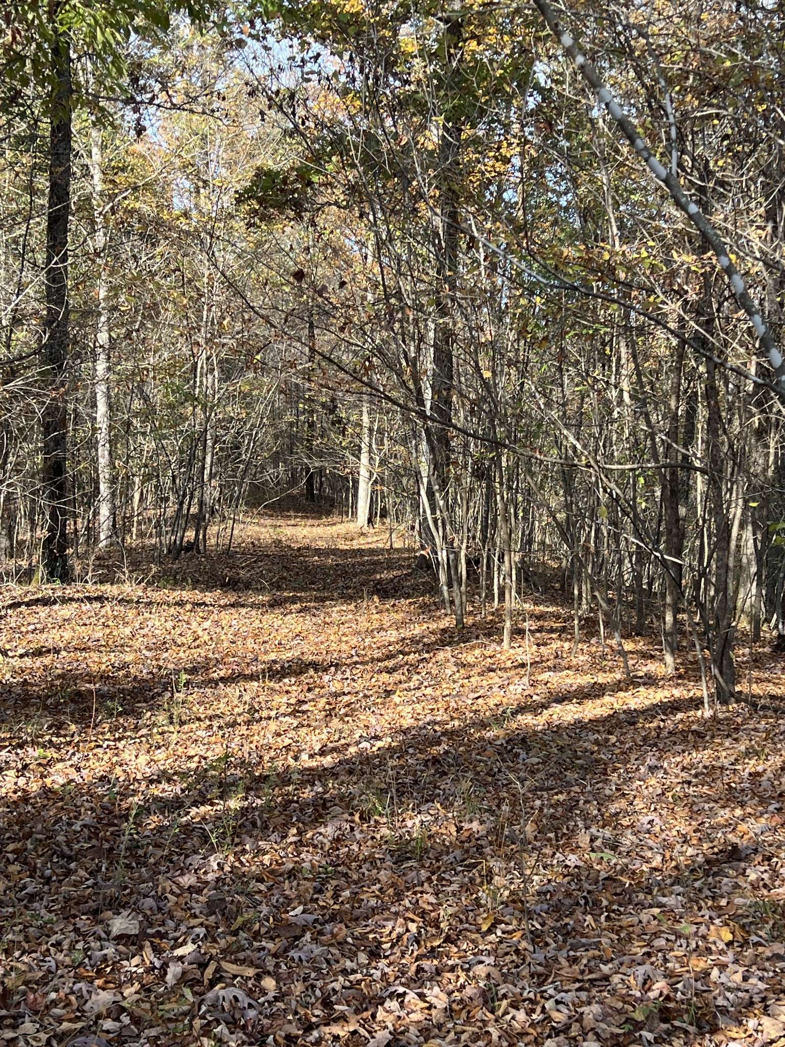 1 Cane Creek Road, Hohenwald, TN 38462