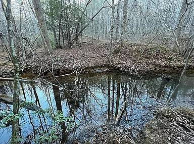 11 Camp Creek Rd, Spencer, TN 38585