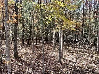 11 Camp Creek Rd, Spencer, TN 38585