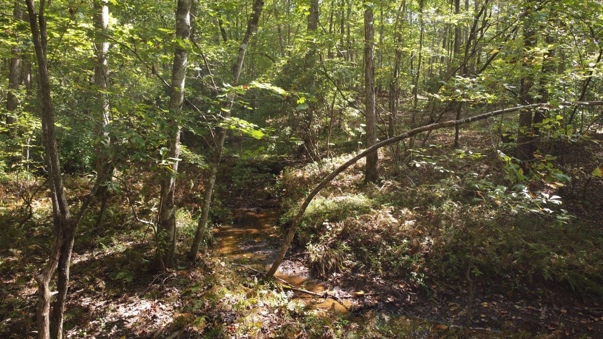 11 Camp Creek Rd, Spencer, TN 38585