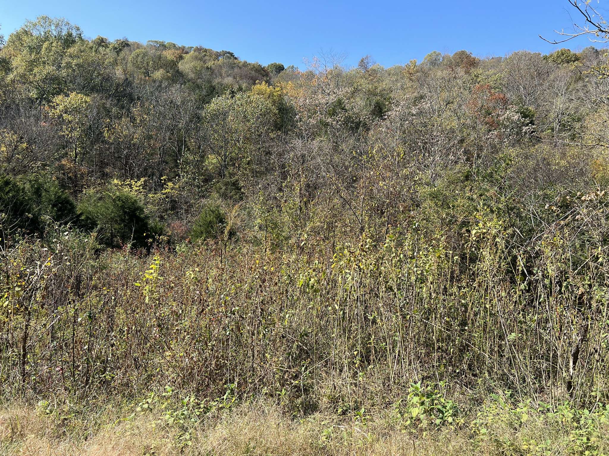 0 Reece Hollow Rd, Carthage, TN 37030