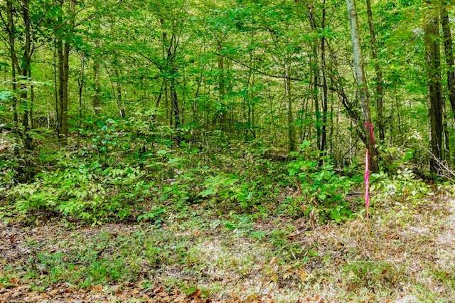 0 Bolestown Loop, Alpine, TN 38543