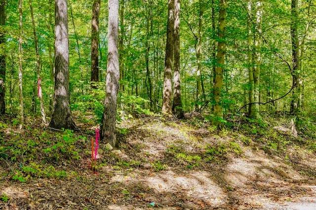 0 Bolestown Loop, Alpine, TN 38543