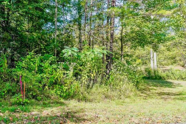0 Bolestown Loop, Alpine, TN 38543