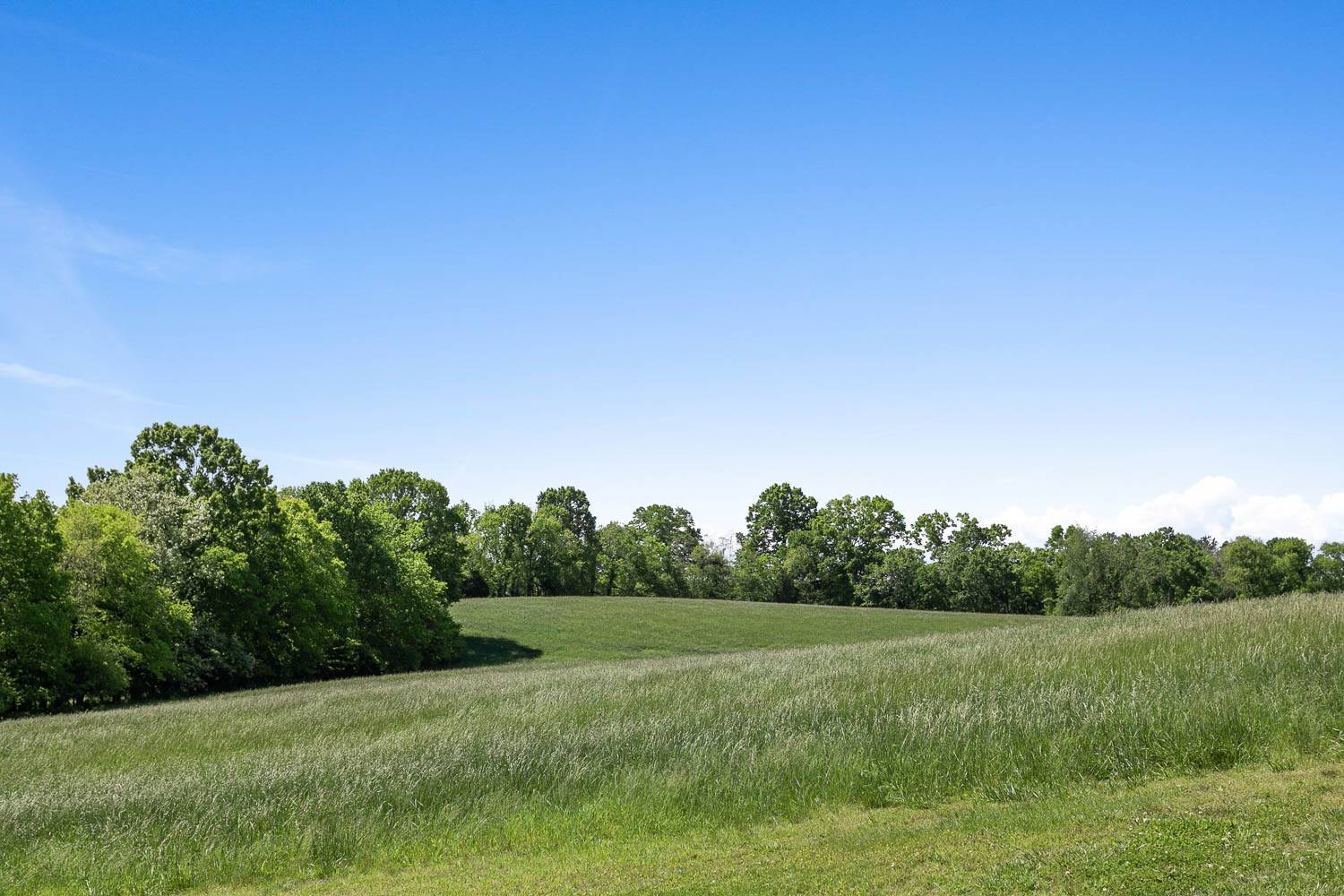 7631 Nolensville Rd, Nolensville, TN 37135